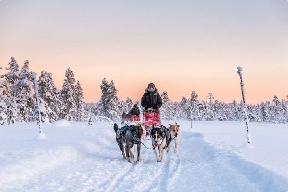 move with nature - huskies sled