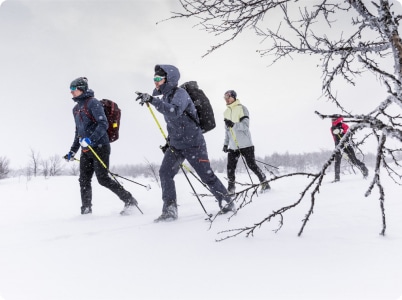 explores in the snow - lapland tour