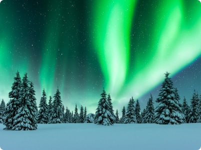 Northern Lights Experience